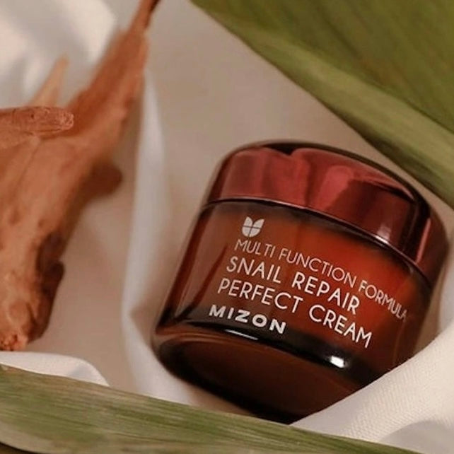 MIZON - Multi Function Formula Snail Repair Prefect Cream 50 ml