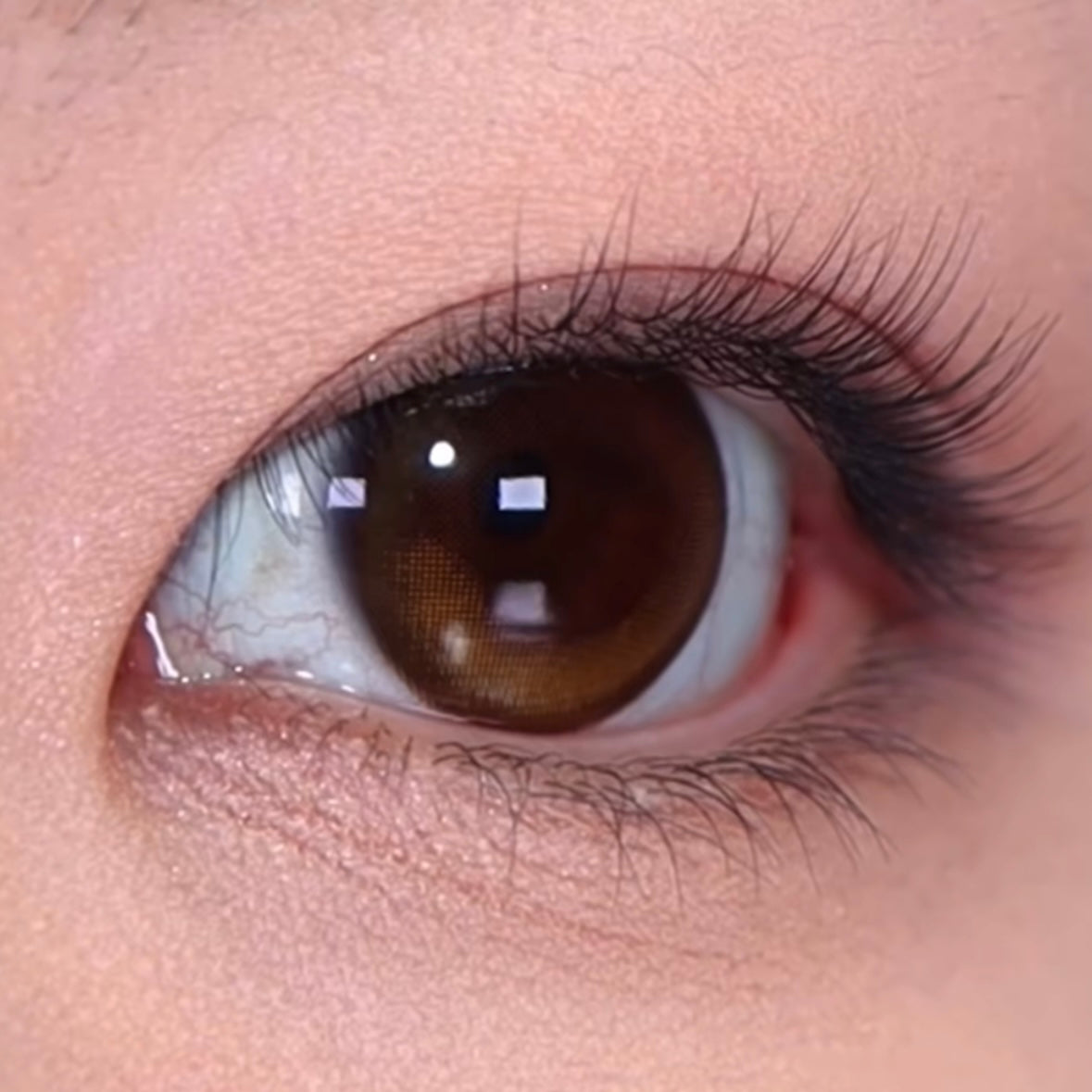 Unleashia - X2 Double Eyelash Curler