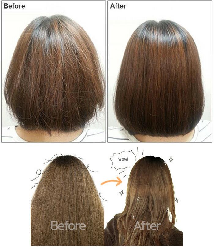 Elizavecca - (Renew) Milky Piggy Collagen Ceramide Hair Coating Protein Treatment 100ml