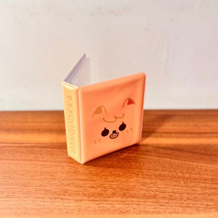 Mini Binder - Random Color