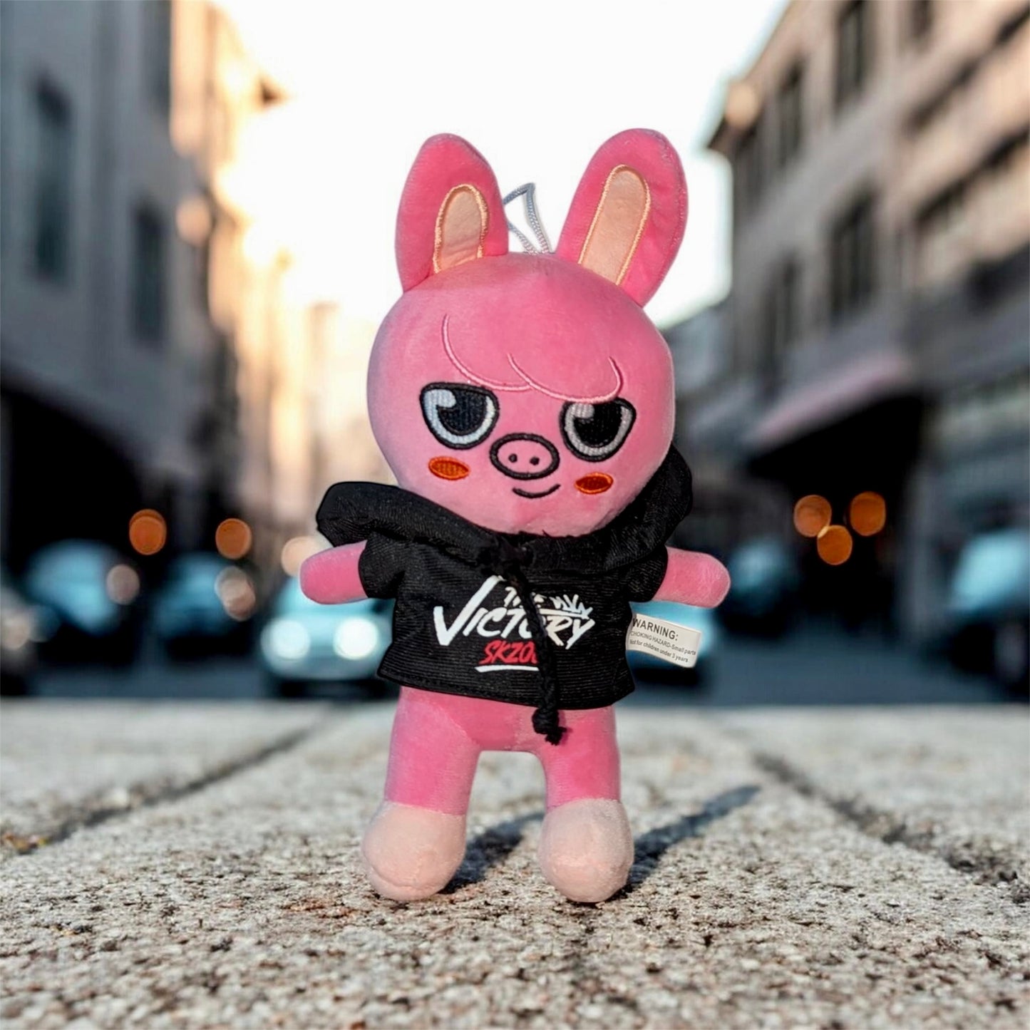 SKZOO Mini Plush – MANIAC ver. (World Tour) - (Dwaekki Ver.)