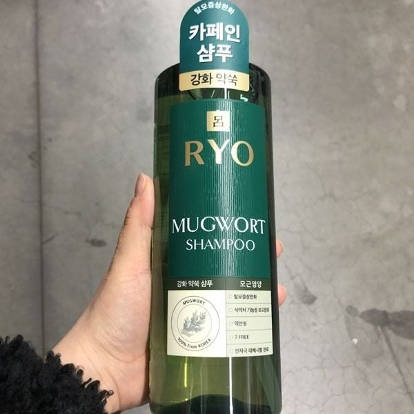 Ryo - Mugwort Hair Loss Care Shampoo 800ml