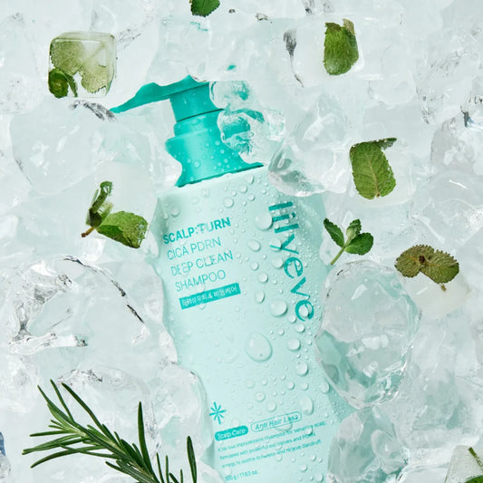 lilyeve - Scarlp: Turn Cica PDRN Deal Clean Shampoo 500ml