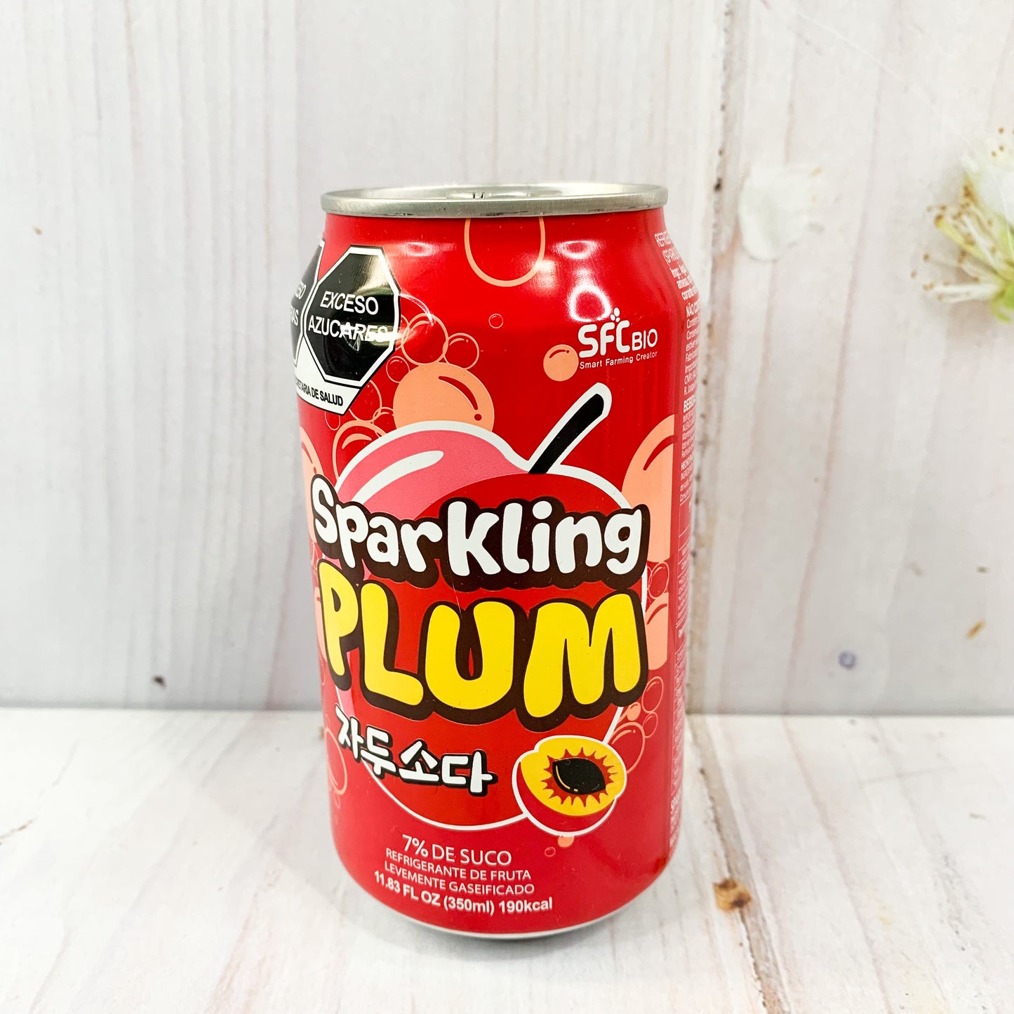 Sparkling Plum Soda